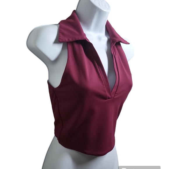 Babaton CONTOUR POLO TANK Aritzia... - Picture 4 of 14